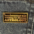 Load image into Gallery viewer, Introverted But Willing to Discuss Astrology Enamel Pin