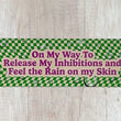 Load image into Gallery viewer, Green and cream checkerboard bumper sticker with pink text.